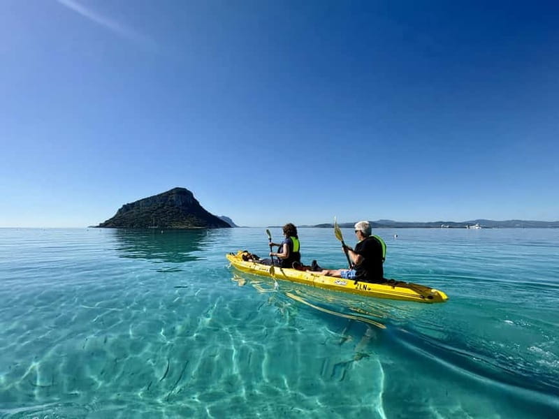 Golfo Aranci:Small group, german guided Kayak tour&Dolphins - Key points / Takeaways