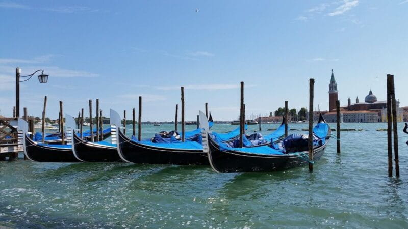 Gondola tour with Four Seasons Concert by VENICE in GONDOLA - Who Is This Experience Best Suited For?