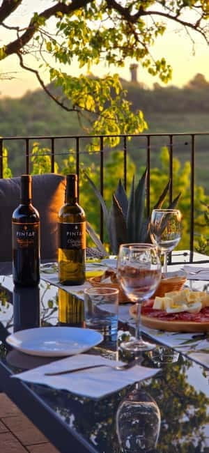 Gorika Brda: Wine Tasting with Local Snacks - Practical Tips and Final Thoughts