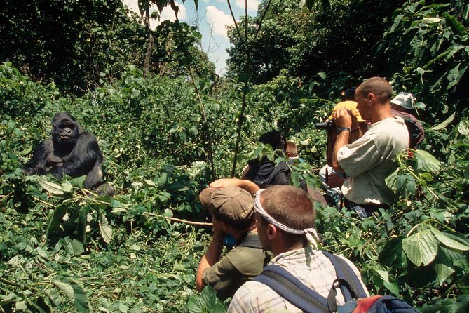 Gorilla Tracking & Batwa Culture Experience - Additional Tour Information
