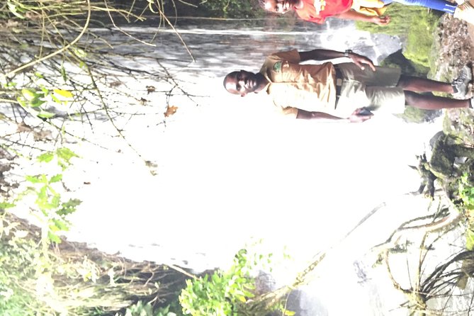 Gorilla Trekking - Book Your Adventure