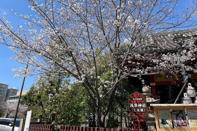 Goshuin Collecting Tour at Asakusa Local Temples & Shrines, Tokyo - Cancellation and Reservation Policy