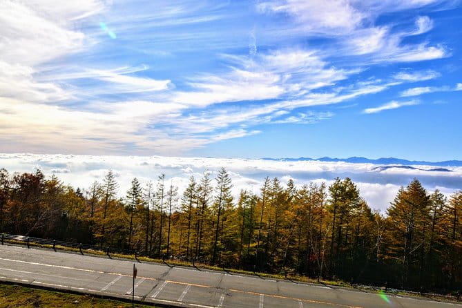 Gotemba Outlet Mall Plus Lake Kawaguchi or Hakone Tour by Chartered Van - Transportation Details