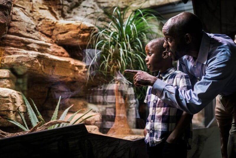 Gothenburg: Go City All-Inclusive Pass with 20+ Attractions - FAQ