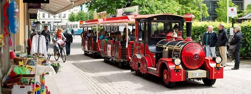 Gothenburg: Old Town Sightseeing Tour - Key points / Takeaways