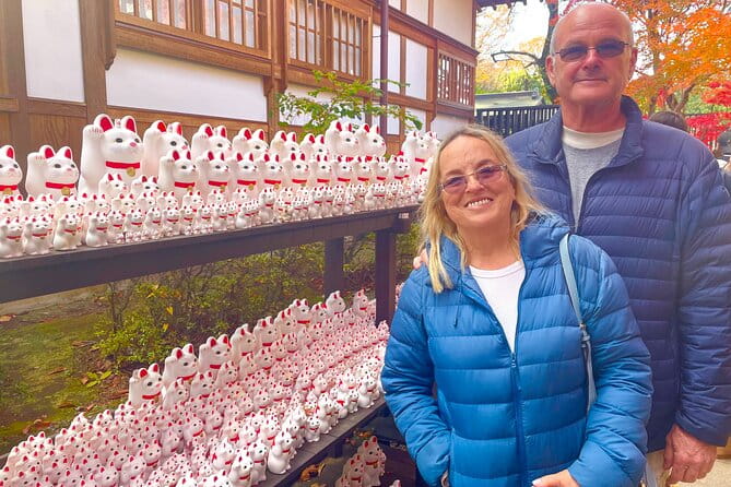 Gotokuji Cat Temple Shinjuku Cat Cafe and 3D Cat Tour - Age Restrictions for Participants