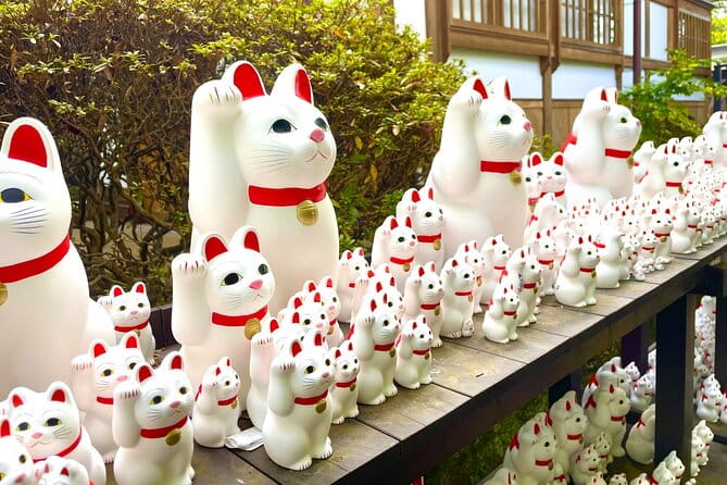 Gotokuji Cat Temple Shinjuku Cat Cafe and 3D Cat Tour - Pricing and Cancellation Policy