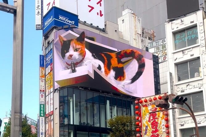 Gotokuji Cat Temple Shinjuku Cat Cafe and 3D Cat Tour - Visitor Reviews and Ratings