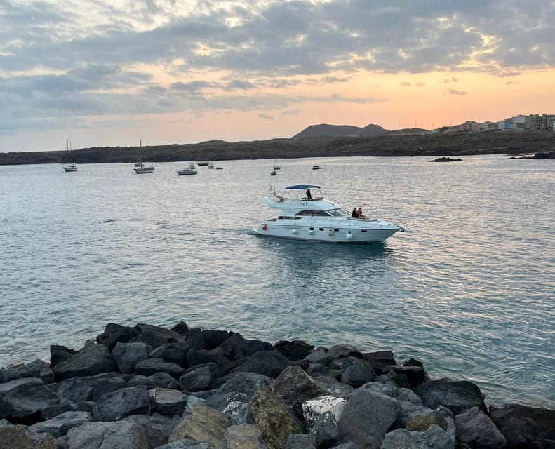 Gourmet cruise at sunset with whale watching - Elegant Sunset and Whale Watching on a Tenerife Yacht: An Honest Review