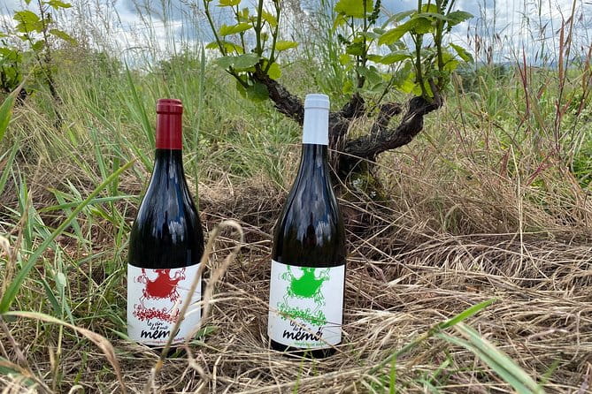 Gourmet walk in the gardens of Château Champ-Renard - Exploring the Region: Scenic Hike and Heritage