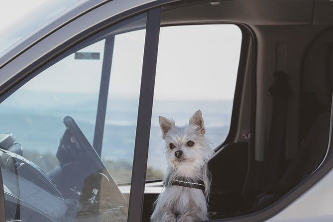 Gozo Highlights Tour in a comfortable private vehicle - Who Should Consider This Tour?