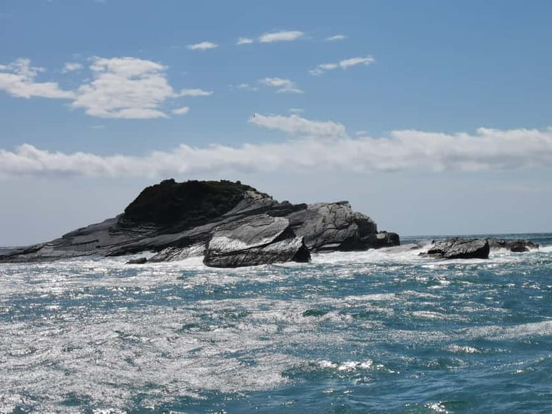 GOZZO - PRIVATE TOUR GULF OF THE POETS - 4 HOURS TOUR - Who Is This Tour Best For?