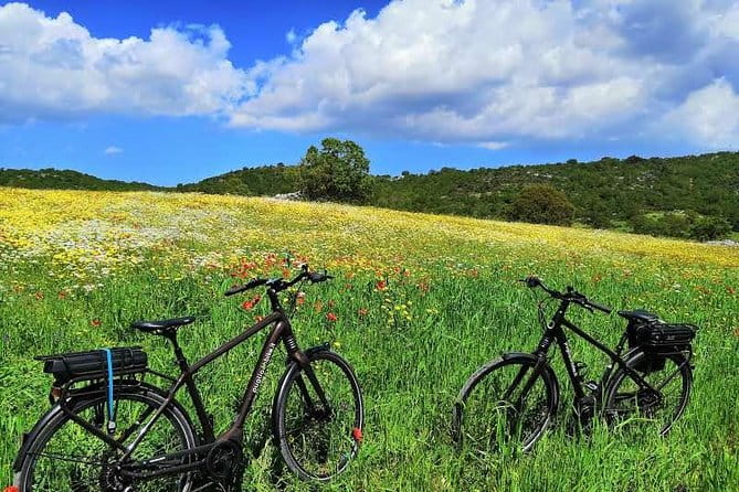 GPS self guide Alberobello and Masseria + Mozzarella and Focaccia tastings by E-bike - Key Points