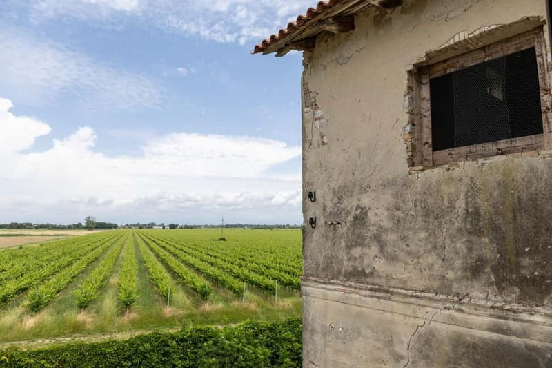 Grado: Journey into Ceramics with Tour & Wine Tasting - The Creative Heart of L’Arte nel Pozzo: A Deep Dive