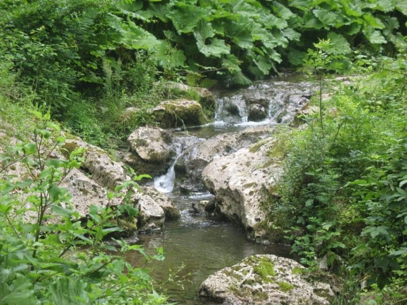 Gragnano Pasta Tour - Introduction to Gragnano’s Pasta Heritage