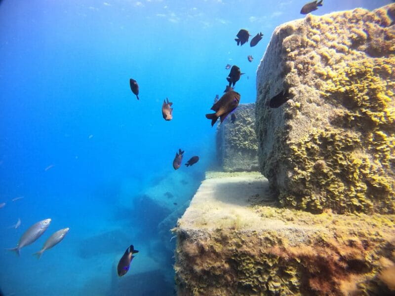 Gran Canaria: 3-Day Open Water Diver Course - The Itinerary: How Your 3 Days Will Unfold in Gran Canaria