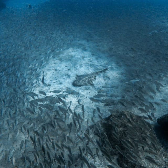 Gran Canaria: 3-Day Open Water Diver Course - FAQs