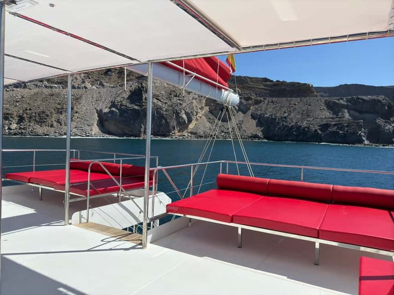 Gran Canaria: All-inclusive tour in the south of Gran Canaria - Practical Tips for Your Cruise