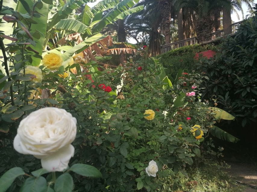 Gran Canaria: Camel Ride at Camel Safari Park - Key Points