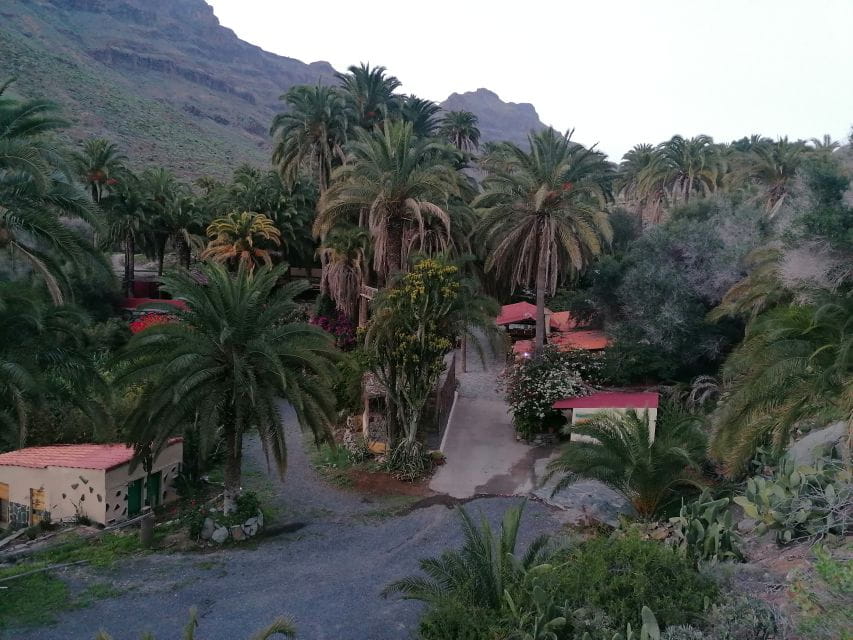 Gran Canaria: Camel Ride at Camel Safari Park - Experience Highlights