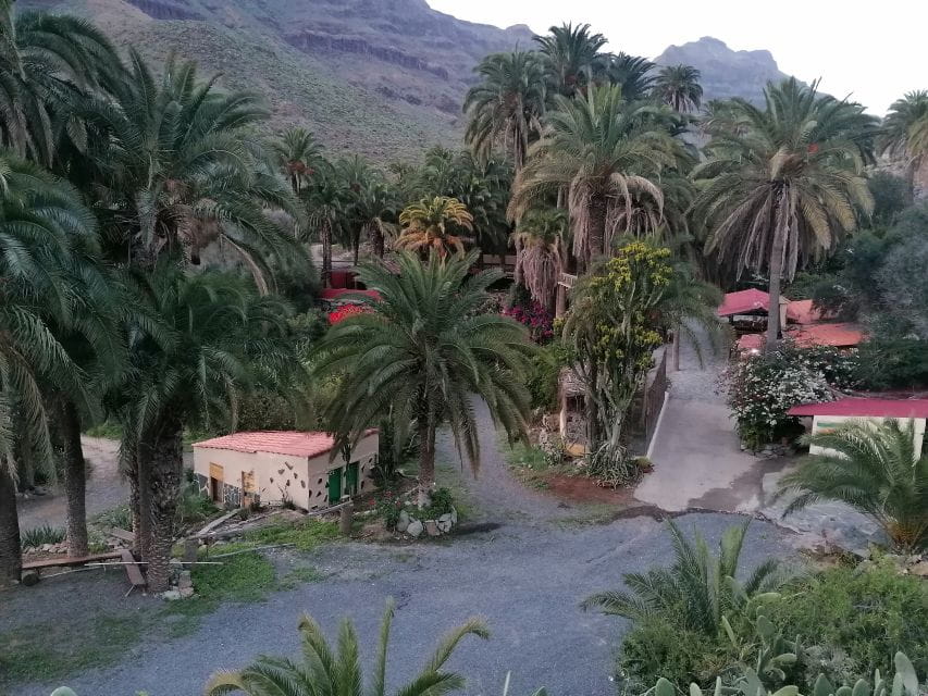 Gran Canaria: Camel Ride at Camel Safari Park - Important Visitor Information