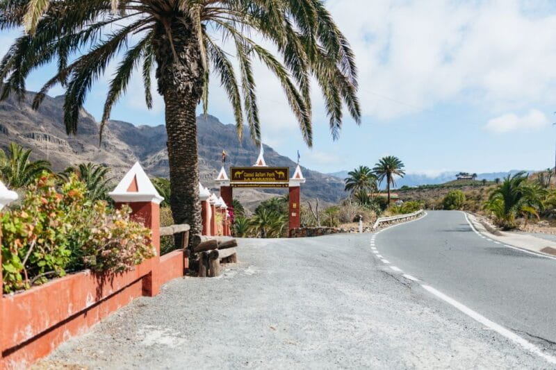 Gran Canaria: Camel Ride Safari w/ Optional Food & Transport - Final Thoughts — Is This Tour Worth It?