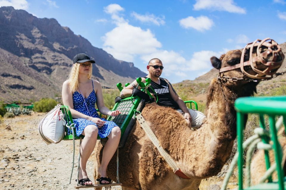 Gran Canaria: Camel Ride Safari W/ Optional Food & Transport - Pricing Details