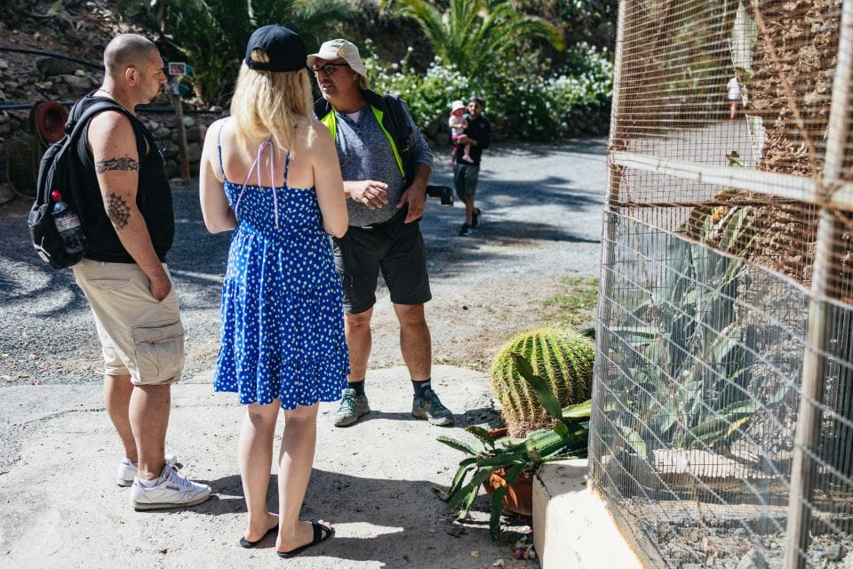 Gran Canaria: Camel Ride Safari W/ Optional Food & Transport - Things To Know