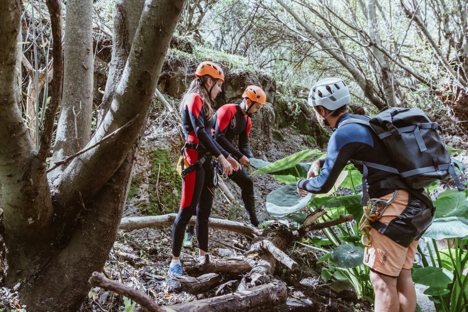 Gran Canaria: Canyoning in the Rainforest - Things To Know