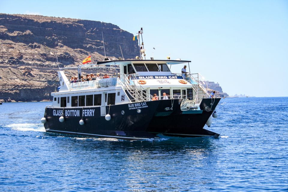 Gran Canaria: Catamaran Dolphin Watch Cruise With Snorkeling - Key Points