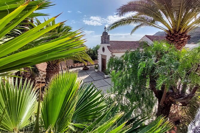 Gran Canaria Cave, Oasis, Red-gorge Adventure & cosy Picnic - Final Thoughts: Is This Tour Right for You?