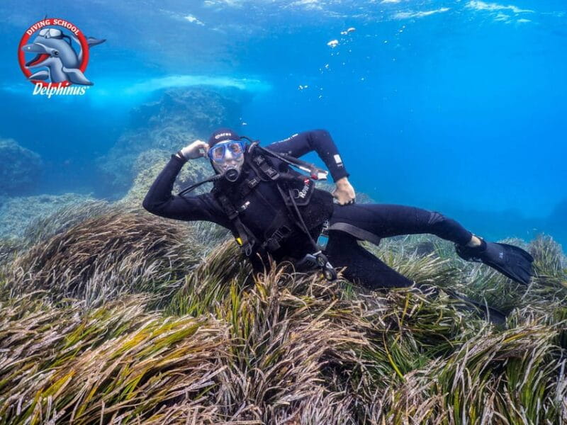 Gran Canaria: Discover Scuba Diving Beginner Program - Price and Logistics