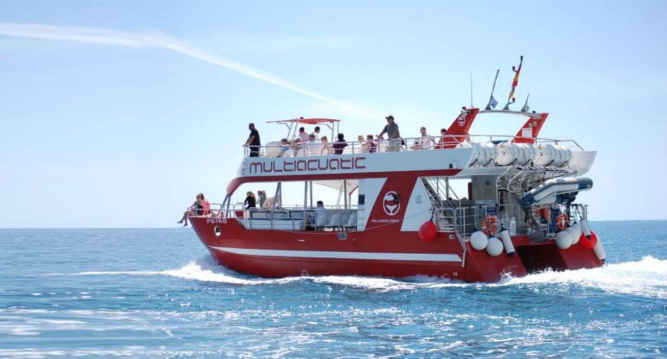 Gran Canaria: Dolphin and Whale Watching Cruise - Boat Specifications