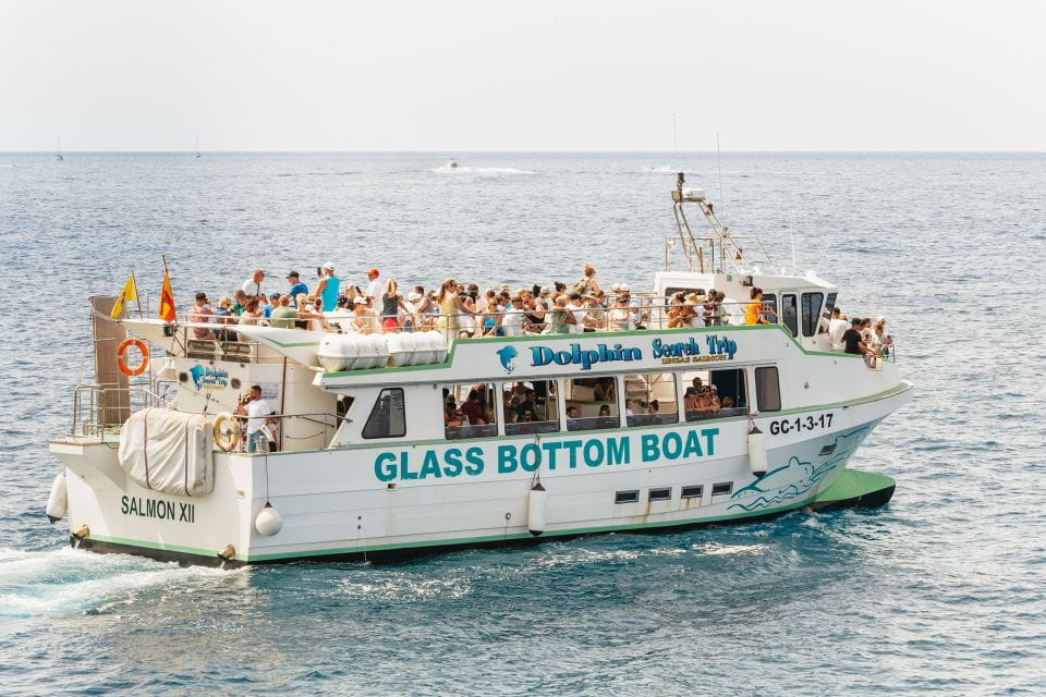 Gran Canaria: Dolphin and Whale Watching Cruise - Meeting Point Details