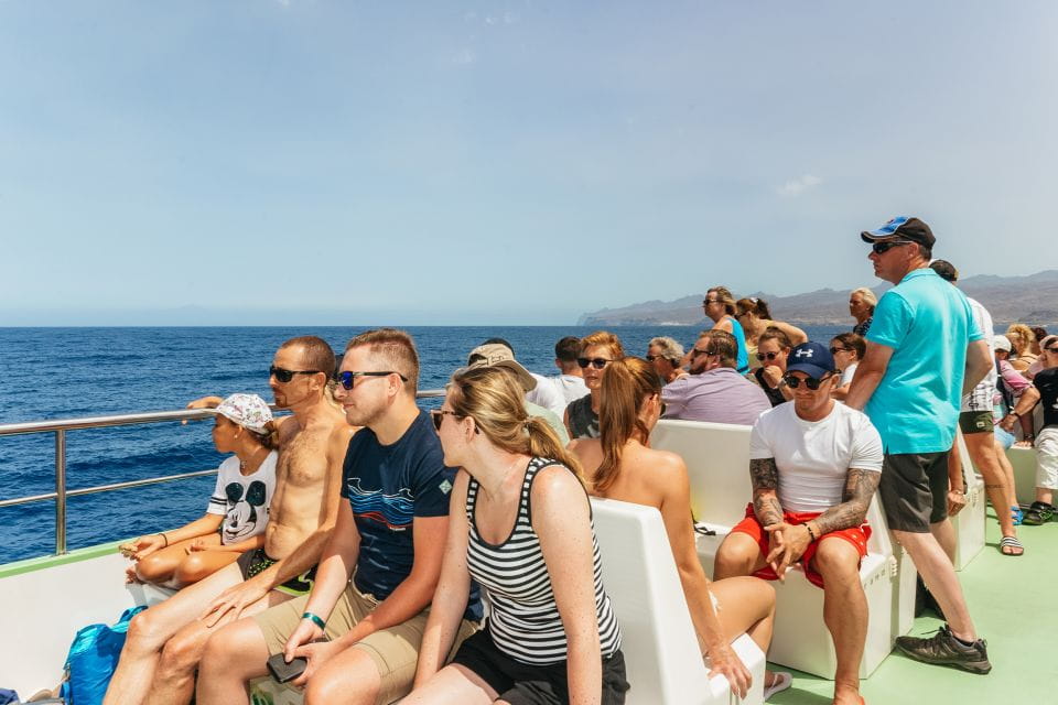 Gran Canaria: Dolphin and Whale Watching Cruise - Tips for a Great Experience