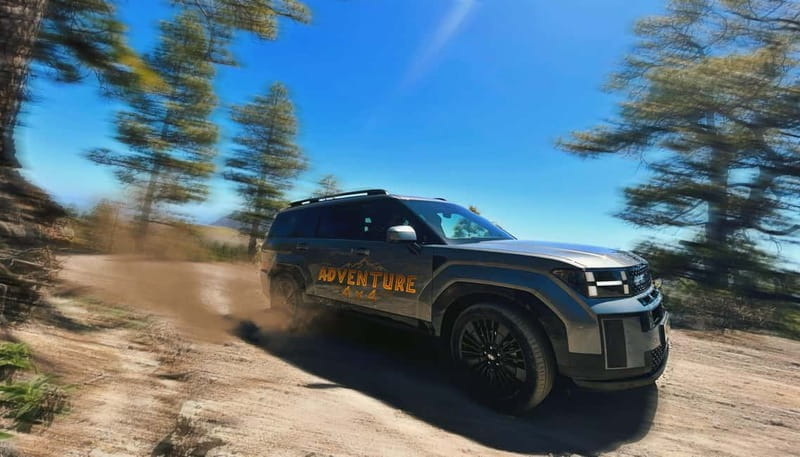 Gran Canaria: Eco Safari 4x4 Tour with Local Guide - Practical Details: Transport, Timing, and Value