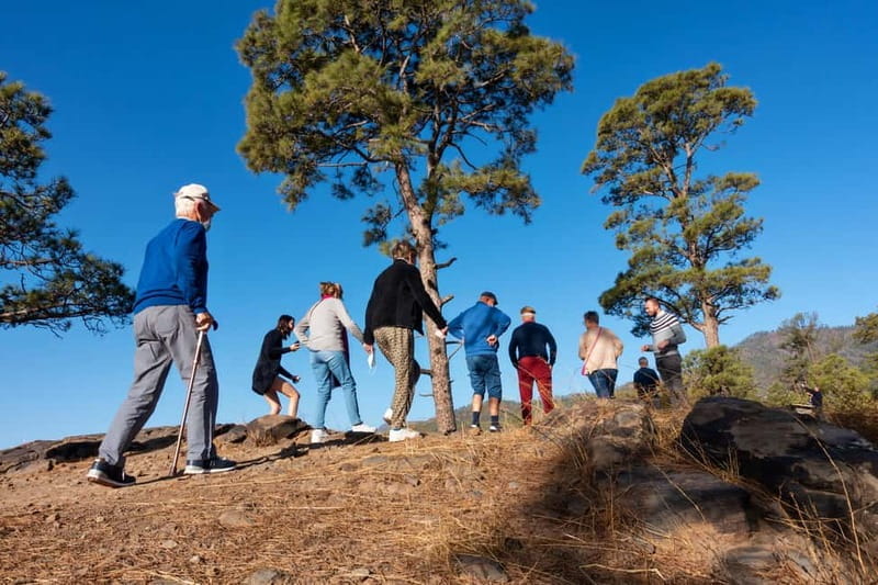 Gran Canaria: Full Coast Tour with Local Guide - FAQ