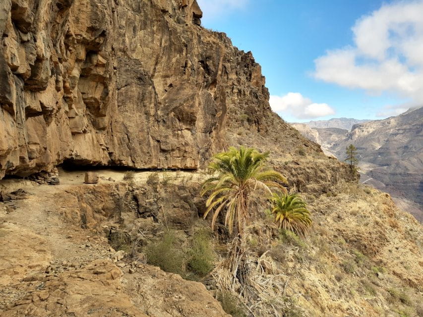 Gran Canaria: Full-Day Guided Hiking With Snacks - Included Amenities