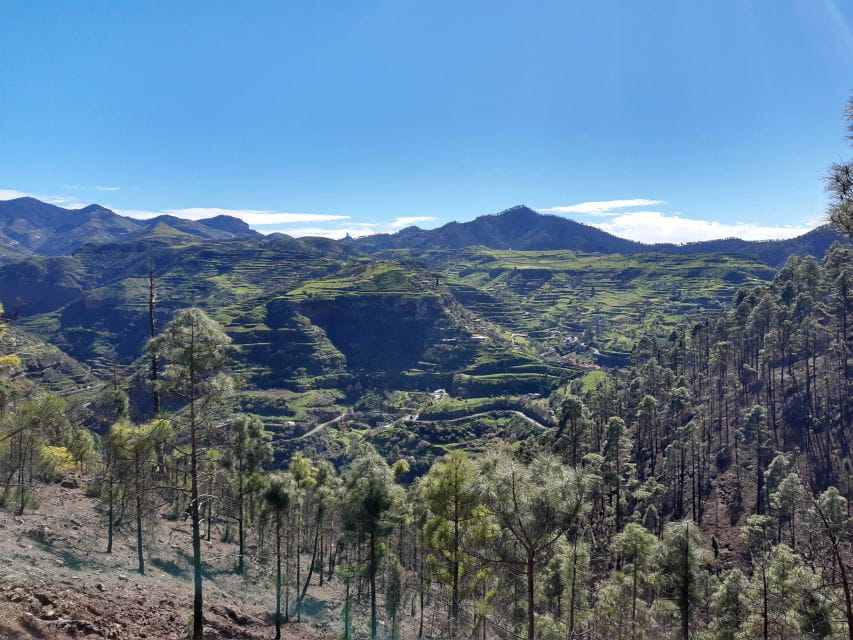 Gran Canaria: Full-Day Guided Hiking With Snacks - Customer Reviews