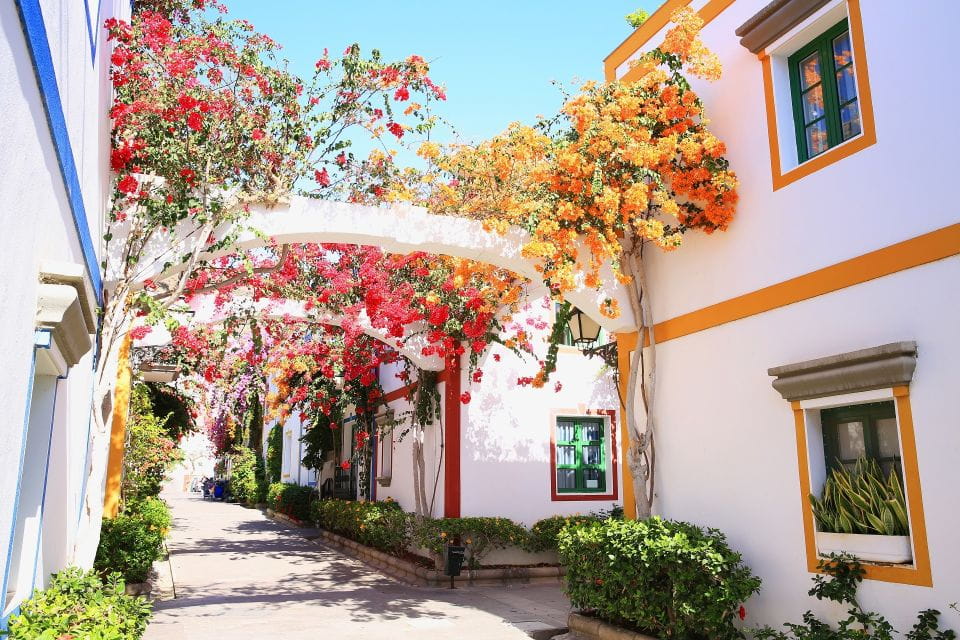 Gran Canaria: Full-Day Island Sightseeing Coach Tour - Inclusions of the Tour