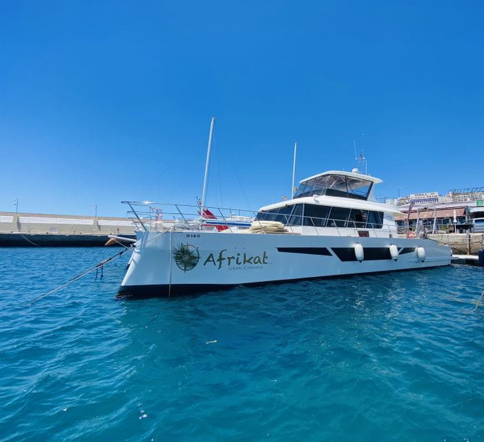 Gran Canaria: Fun Catamaran Cruise With Food and Drinks - Pickup and Drop-off Locations