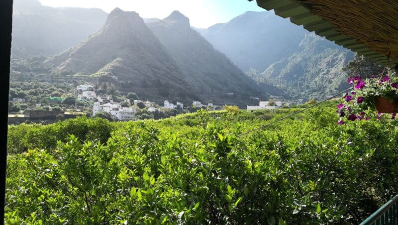 Gran Canaria: Grand Island Tour by Bus with Transfers - Price and Value: Is It Worth It?