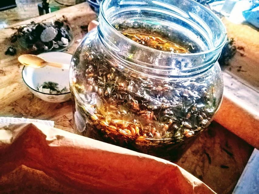 Gran Canaria: Green Witchcraft in the Magic Island - Highlights of the Workshop