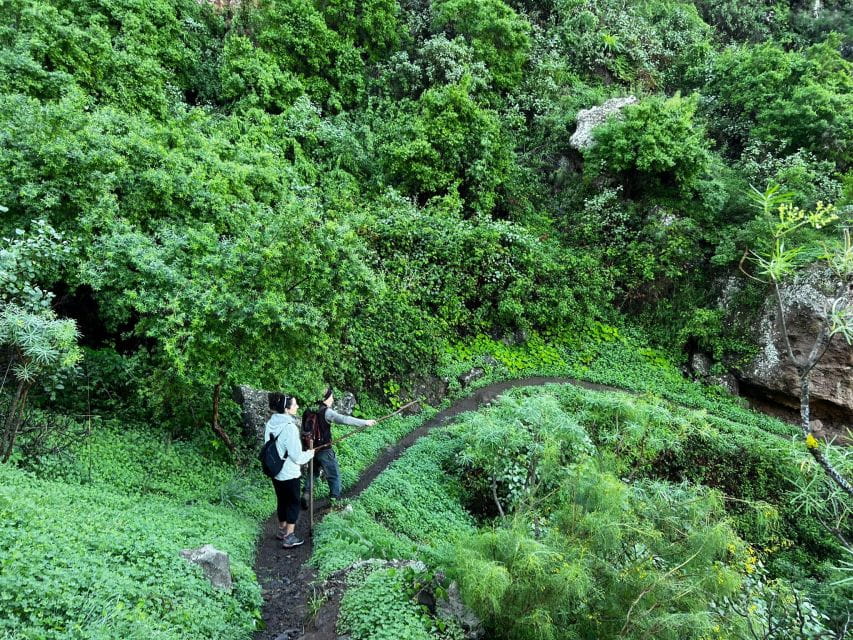 Gran Canaria: Green Witchcraft in the Magic Island - Booking and Cancellation Policies