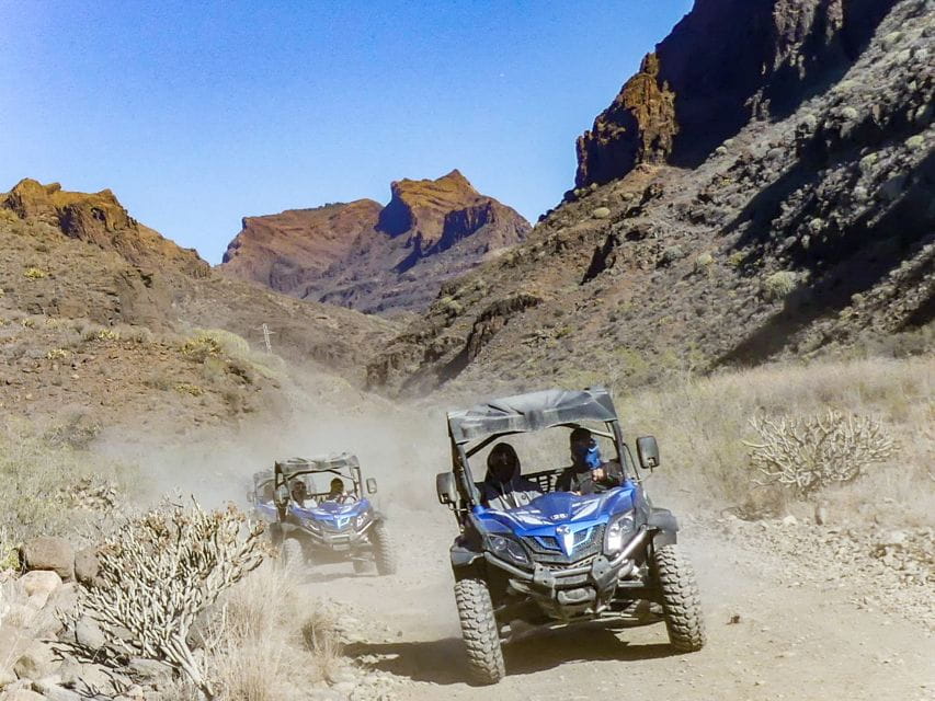 Gran Canaria Guided Buggy Tour - Tour Duration and Pricing