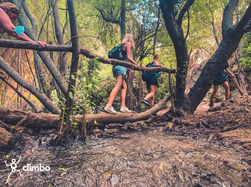 Gran Canaria: Guided Day Tour to Rainforest With Tasting - Participant Requirements and Restrictions