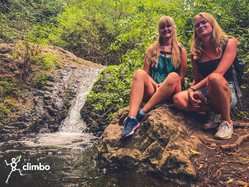 Gran Canaria: Guided Day Tour to Rainforest With Tasting - What to Bring and Important Notes