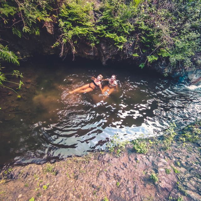 Gran Canaria: Guided Day Tour to Rainforest With Tasting - Exploring Doramas Forest