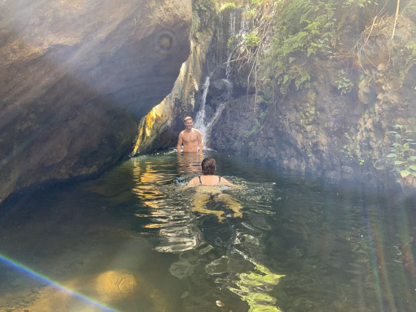 Gran Canaria: Guided Day Tour to Rainforest With Tasting - Things To Know