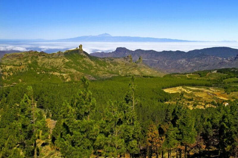 Gran Canaria Highlights Full-Day Tour by Bus - A Detailed Look at the Tour Experience